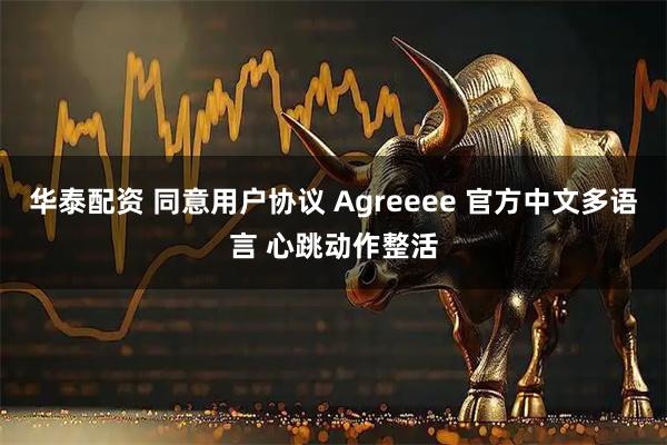 华泰配资 同意用户协议 Agreeee 官方中文多语言 心跳动作整活