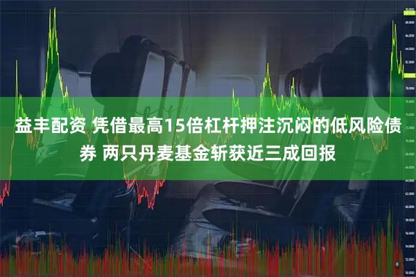益丰配资 凭借最高15倍杠杆押注沉闷的低风险债券 两只丹麦基金斩获近三成回报