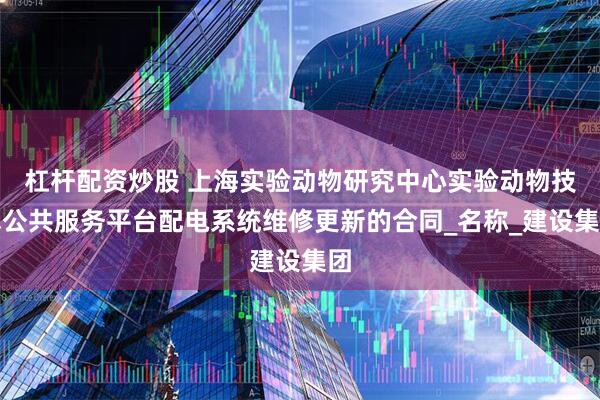 杠杆配资炒股 上海实验动物研究中心实验动物技术公共服务平台配电系统维修更新的合同_名称_建设集团