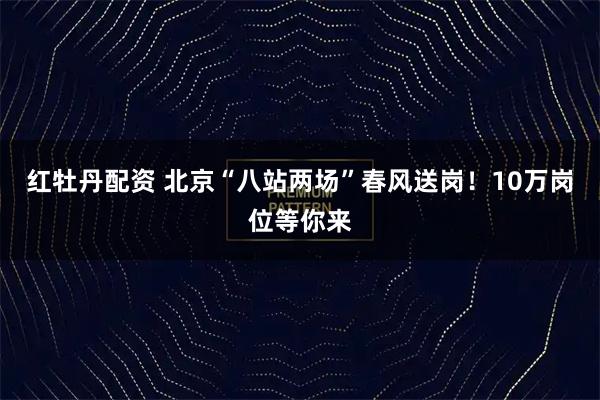 红牡丹配资 北京“八站两场”春风送岗！10万岗位等你来