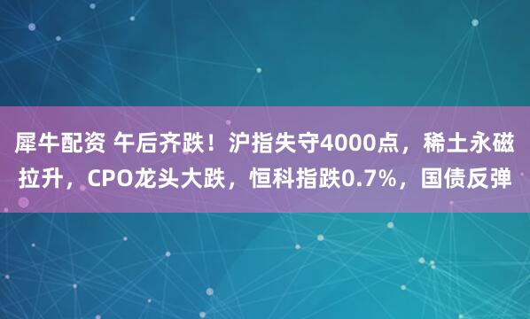 犀牛配资 午后齐跌！沪指失守4000点，稀土永磁拉升，CPO龙头大跌，恒科指跌0.7%，国债反弹