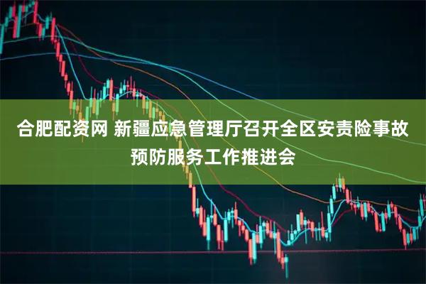 合肥配资网 新疆应急管理厅召开全区安责险事故预防服务工作推进会